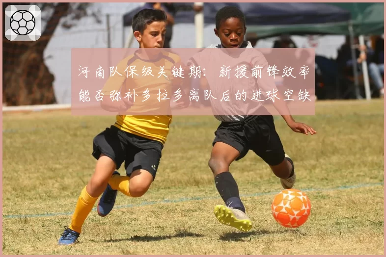 河南队保级关键期：新援前锋效率能否弥补多拉多离队后的进球空缺？