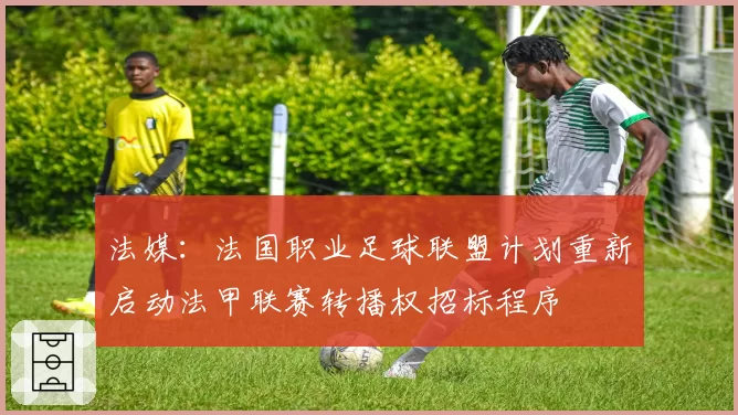 法媒：法国职业足球联盟计划重新启动法甲联赛转播权招标程序