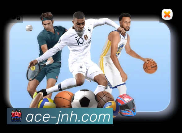 金年会APP界面展示